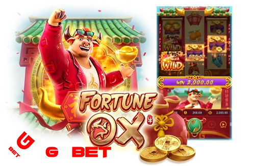 fortune ox ได้เงินจริง